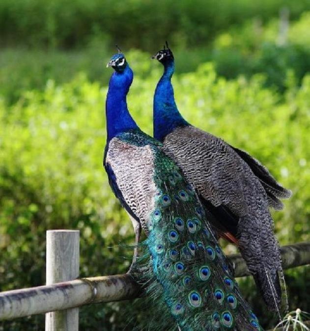 Culla Lodge Inhambane Kültér fotó